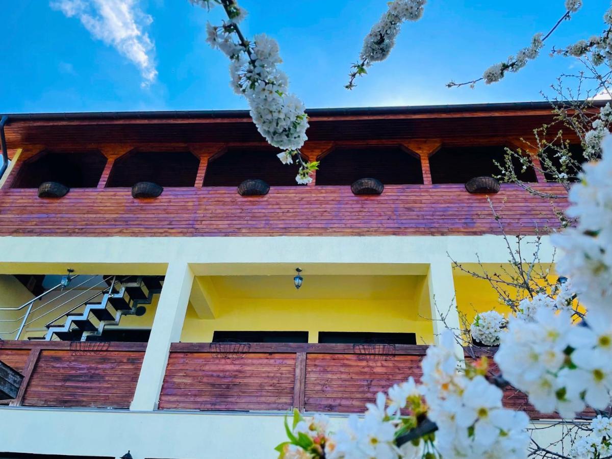 Hotel Casa Camelia à Dubova Extérieur photo